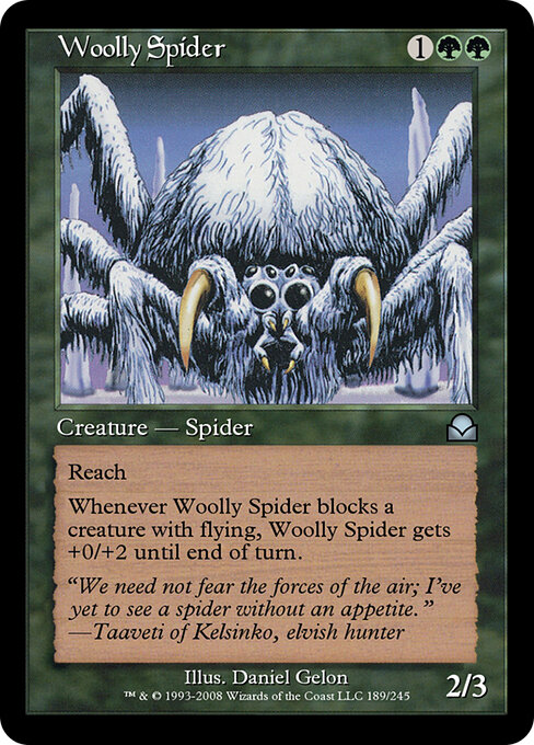 Woolly Spider