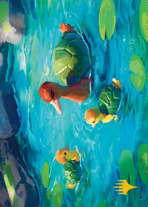 Turtle-Duck // Turtle-Duck