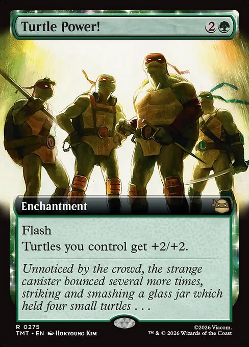 Turtle Power!